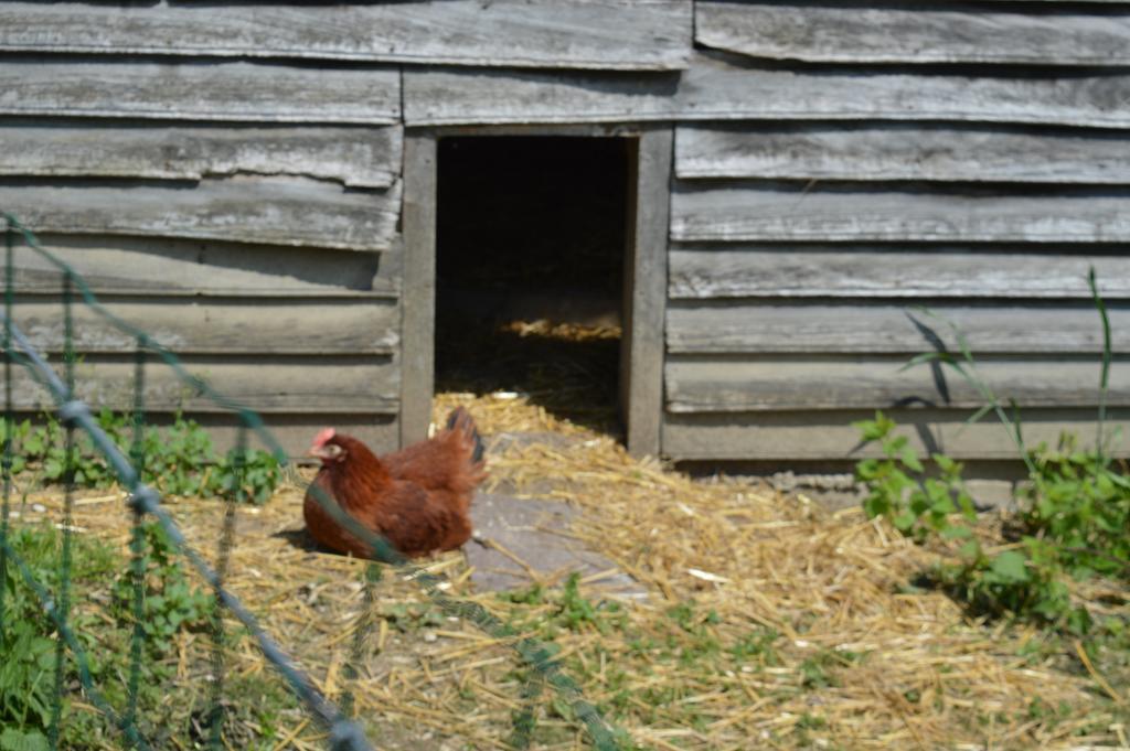Bed and Breakfast Au Passage Des Grues Drosnay Esterno foto